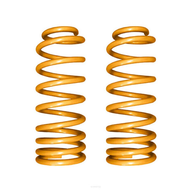 Sprężyny progresywne 0-100 kg tył Superior Engineering King Springs Lift 0-2