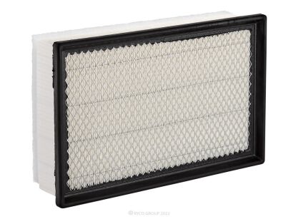 Air Filter, NISSAN Navara D40 (T/D), Pathfinder R51 (T/D)