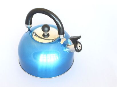 Whistling Kettle (2.5l) / Stainless Steel Metallic Finish