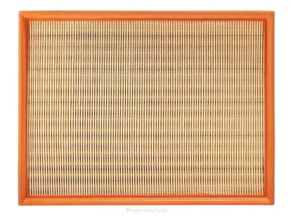 Air Filter, MERCEDES Sprinter (309CDI, 311CDI, 313CDI, 315CDI, 316CDI, 318CDI, 319CDI, 415CDI, 416CDI, 418CDI, 419CDI, 516CDI, 519CDI), Spri
