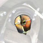 Zabezpieczenia sprężyn Superior Engineering Lift 0-6