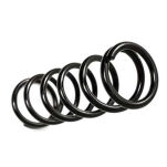 Rear coil springs BDS Pro-Ride Lift 2
