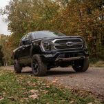 Zestaw zawieszenia z amortyzatorami NX2 BDS Lift 4