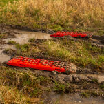 Trapy czerwone OFD - 9