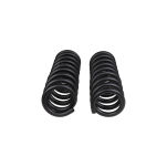 Sprężyny przednie OME - ARB-4022 - 5