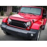 Grill angry eyes OFD - 5