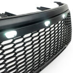 Grill z oświetleniem LED OFD - 2