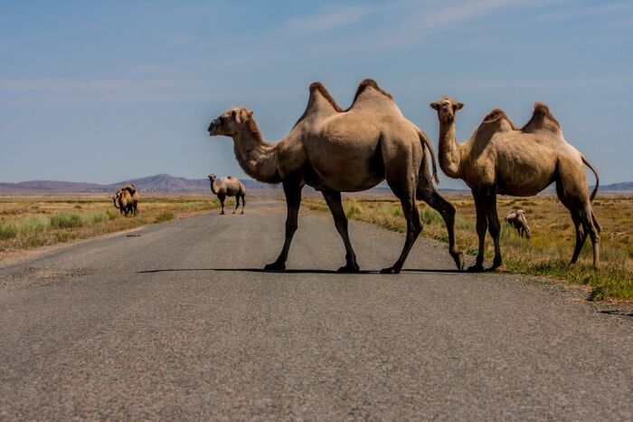 Relacja z wyprawy Jedwabnym Szlakiem przez Azję Centralną cz.2